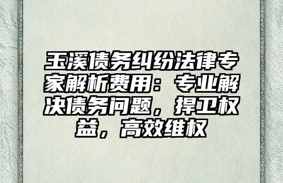 玉溪債務(wù)糾紛法律專家解析費用：專業(yè)解決債務(wù)問題，捍衛(wèi)權(quán)益，高效維權(quán)