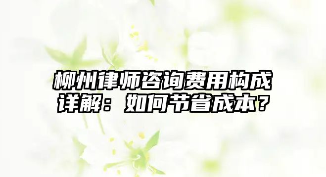 柳州律師咨詢費(fèi)用構(gòu)成詳解：如何節(jié)省成本？