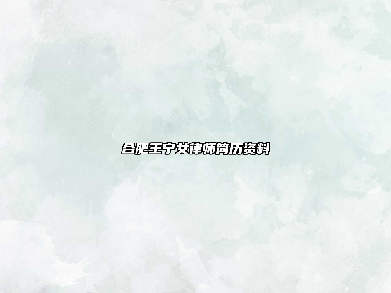合肥王寧女律師簡歷資料
