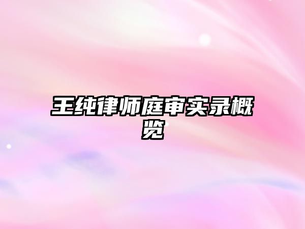 王純律師庭審實錄概覽