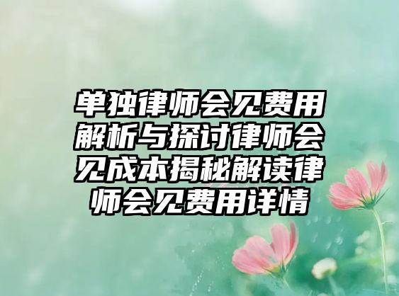 單獨律師會見費用解析與探討律師會見成本揭秘解讀律師會見費用詳情