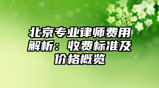 北京專業律師費用解析：收費標準及價格概覽