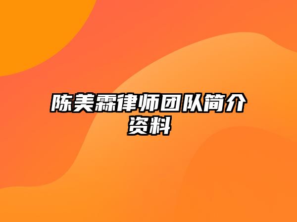 陳美霖律師團隊簡介資料