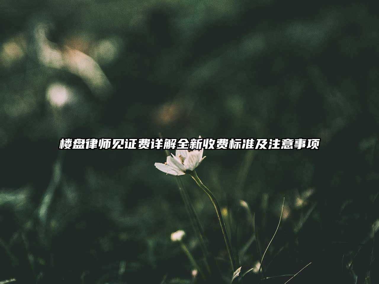 樓盤律師見證費詳解全新收費標準及注意事項