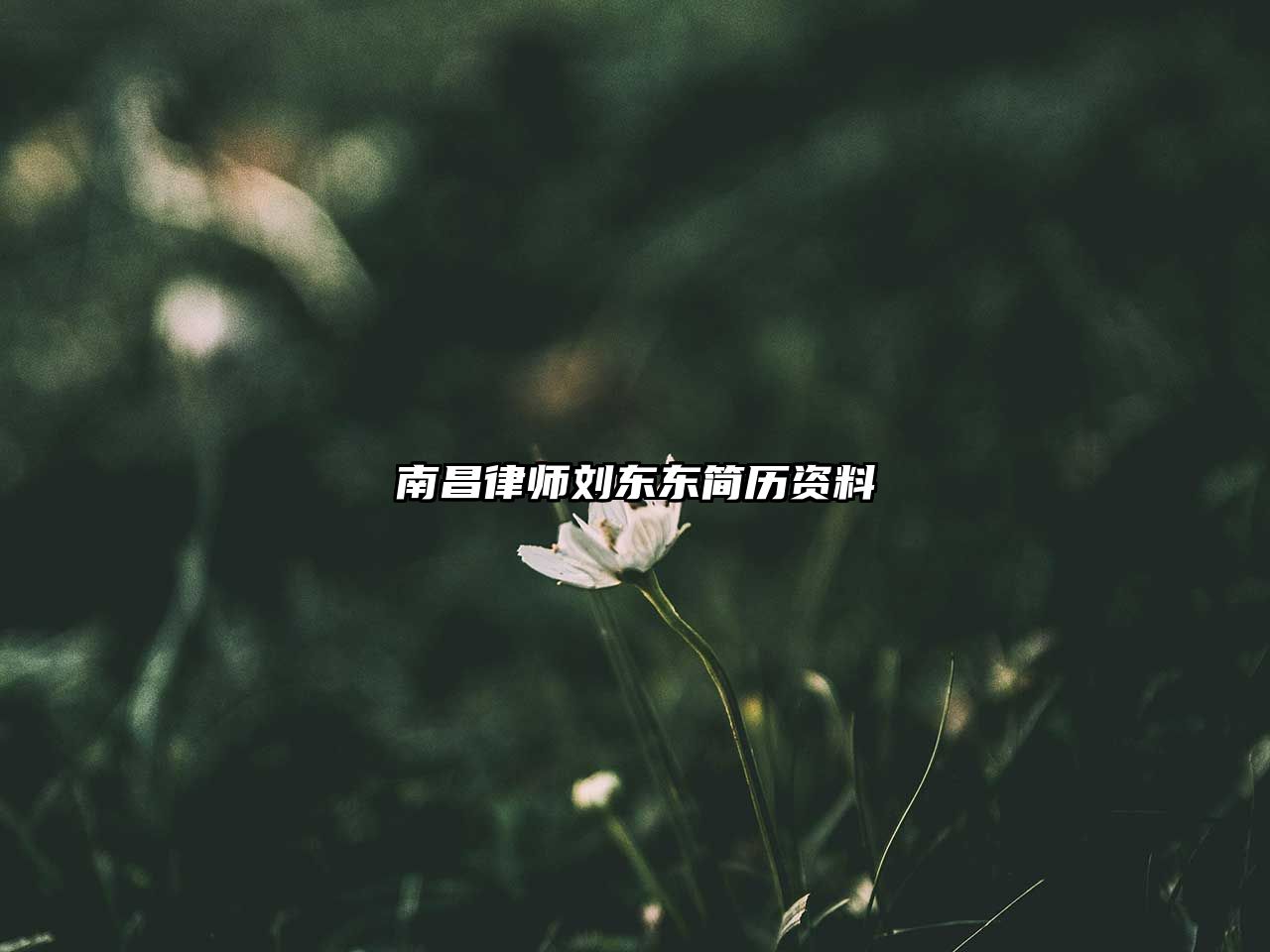 南昌律師劉東東簡歷資料