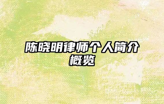 陳曉明律師個人簡介概覽