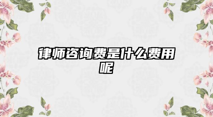 律師咨詢費(fèi)是什么費(fèi)用呢