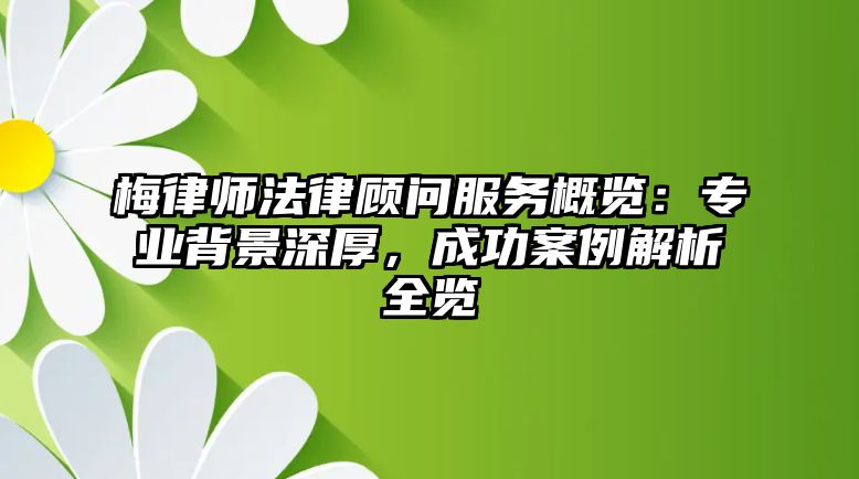 梅律師法律顧問(wèn)服務(wù)概覽：專(zhuān)業(yè)背景深厚，成功案例解析全覽