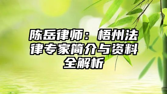 陳岳律師：梧州法律專家簡介與資料全解析