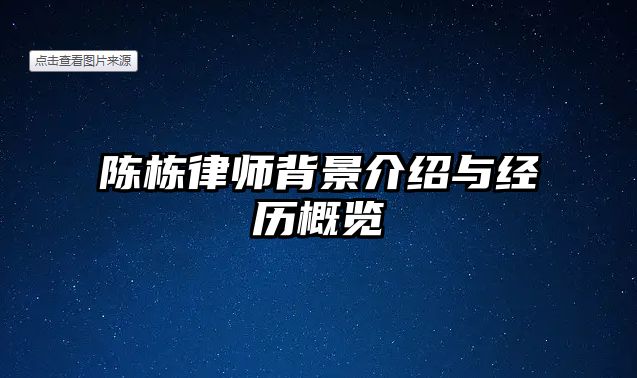 陳棟律師背景介紹與經(jīng)歷概覽