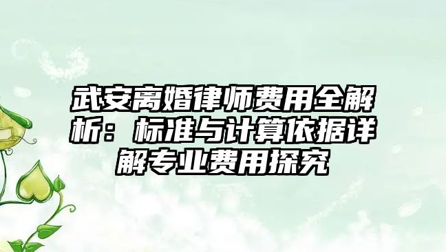 武安離婚律師費(fèi)用全解析：標(biāo)準(zhǔn)與計(jì)算依據(jù)詳解專業(yè)費(fèi)用探究