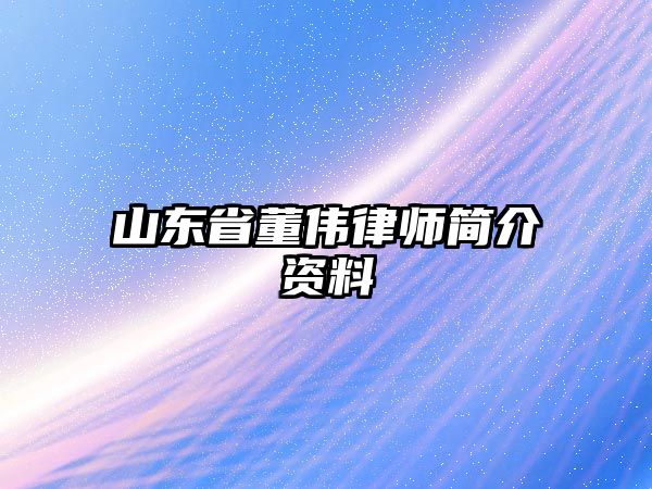 山東省董偉律師簡介資料