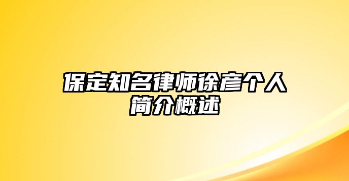 保定知名律師徐彥個人簡介概述