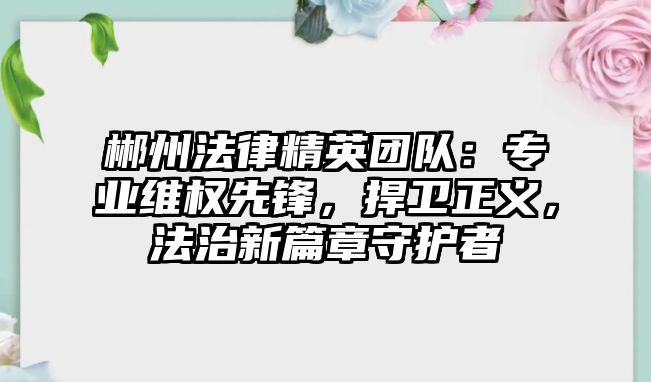 郴州法律精英團隊：專業維權先鋒，捍衛正義，法治新篇章守護者