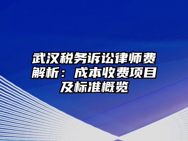 武漢稅務訴訟律師費解析：成本收費項目及標準概覽
