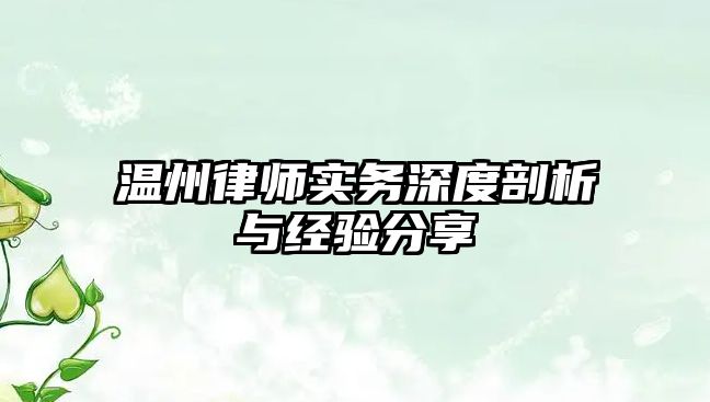 溫州律師實務深度剖析與經驗分享