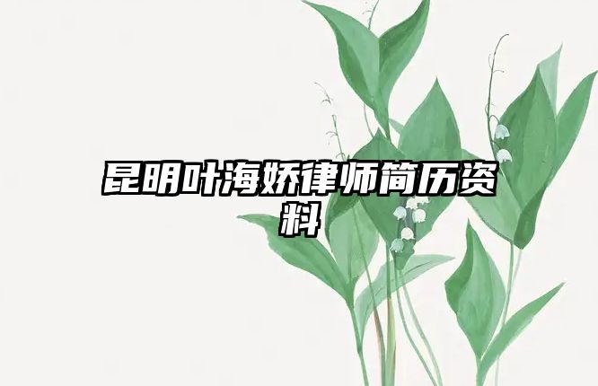 昆明葉海嬌律師簡歷資料
