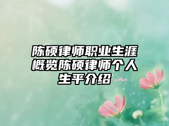 陳碩律師職業生涯概覽陳碩律師個人生平介紹