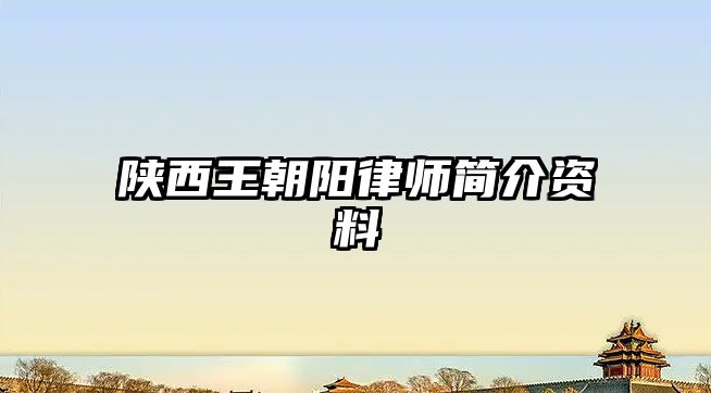 陜西王朝陽律師簡介資料