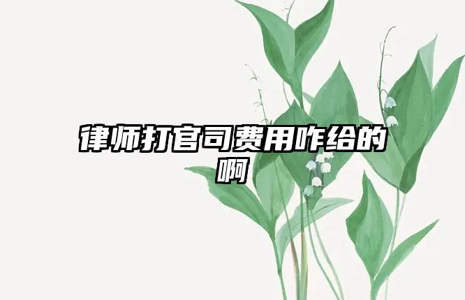 律師打官司費用咋給的啊