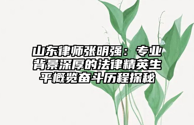山東律師張明強：專業背景深厚的法律精英生平概覽奮斗歷程探秘