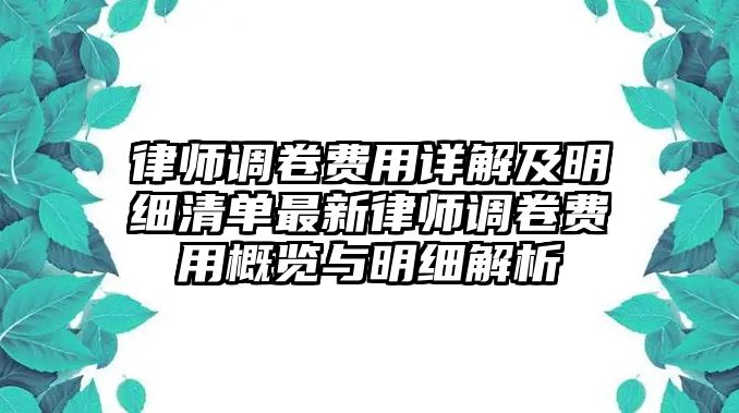 律師調(diào)卷費(fèi)用詳解及明細(xì)清單最新律師調(diào)卷費(fèi)用概覽與明細(xì)解析
