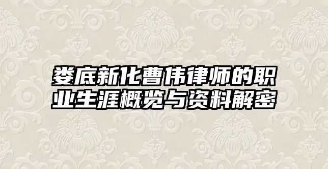 婁底新化曹偉律師的職業(yè)生涯概覽與資料解密