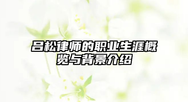 呂松律師的職業生涯概覽與背景介紹