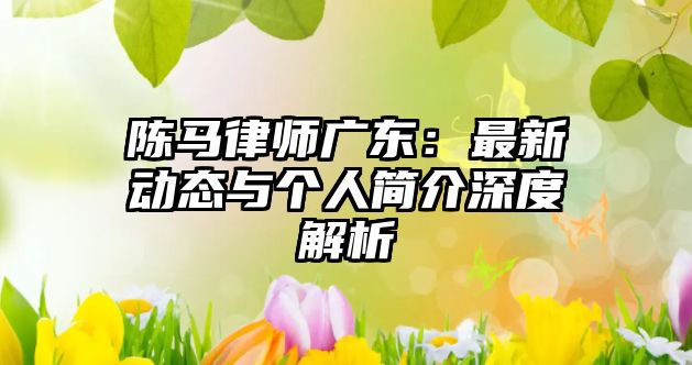 陳馬律師廣東：最新動態與個人簡介深度解析