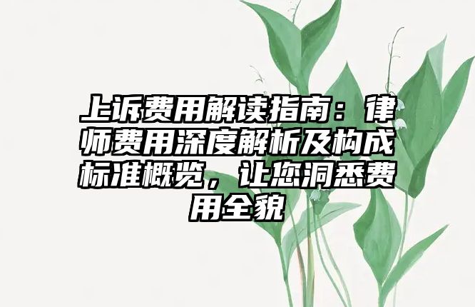 上訴費用解讀指南：律師費用深度解析及構成標準概覽，讓您洞悉費用全貌