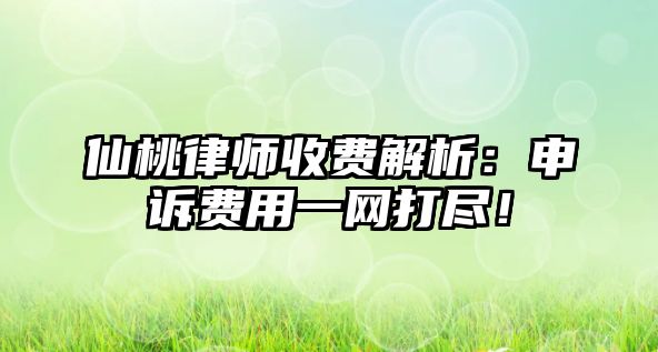 仙桃律師收費解析：申訴費用一網打盡！