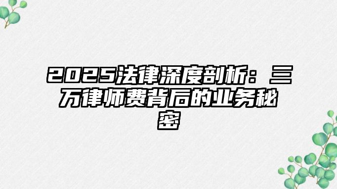 2025法律深度剖析：三萬律師費背后的業務秘密