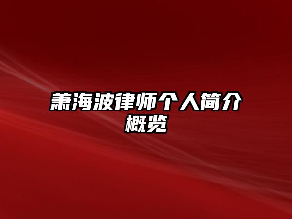 蕭海波律師個(gè)人簡(jiǎn)介概覽