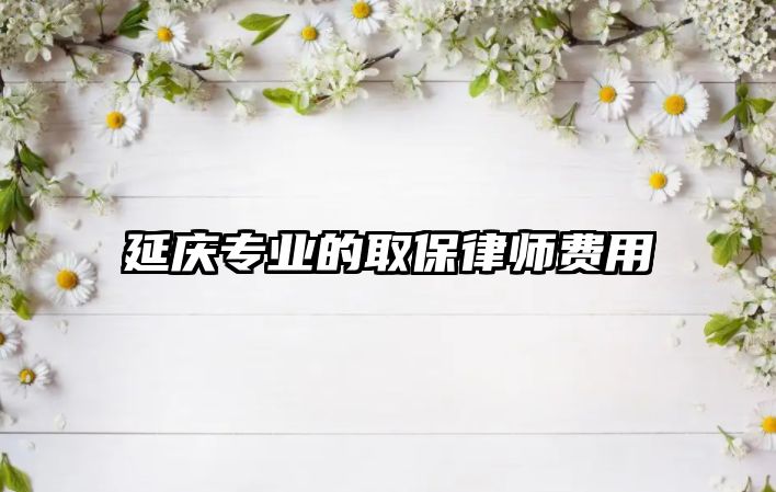 延慶專業(yè)的取保律師費用