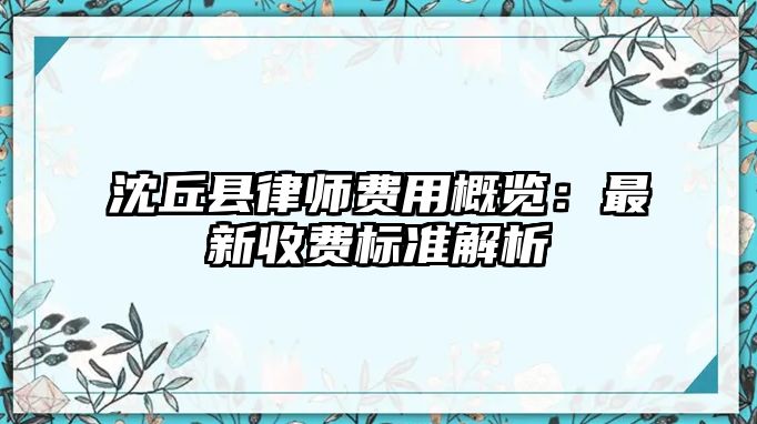 沈丘縣律師費用概覽：最新收費標準解析
