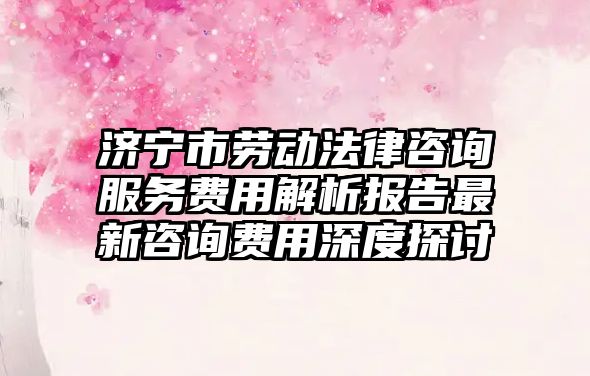 濟(jì)寧市勞動(dòng)法律咨詢服務(wù)費(fèi)用解析報(bào)告最新咨詢費(fèi)用深度探討
