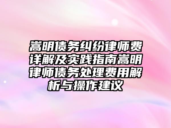 嵩明債務糾紛律師費詳解及實踐指南嵩明律師債務處理費用解析與操作建議