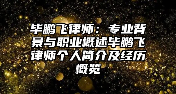 畢鵬飛律師：專業(yè)背景與職業(yè)概述畢鵬飛律師個人簡介及經(jīng)歷概覽