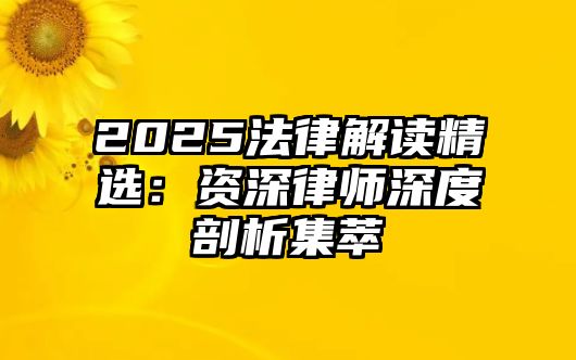 2025法律解讀精選：資深律師深度剖析集萃