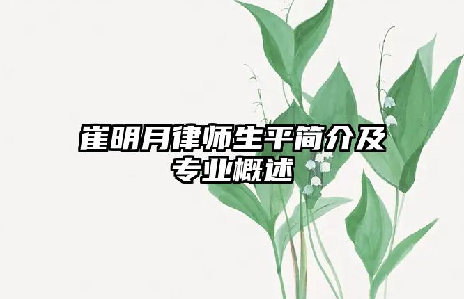 崔明月律師生平簡介及專業概述