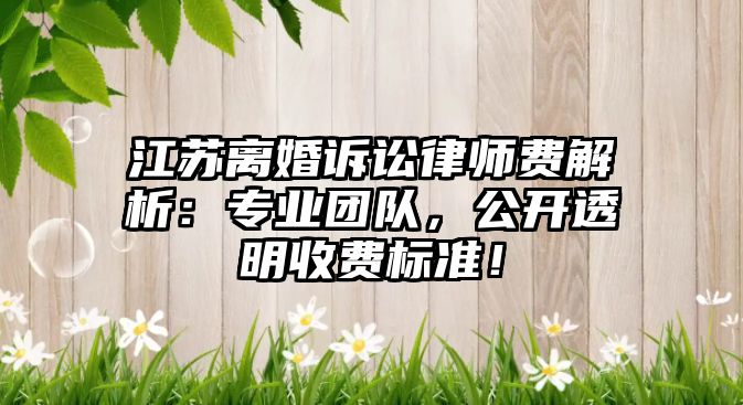 江蘇離婚訴訟律師費解析：專業團隊，公開透明收費標準！