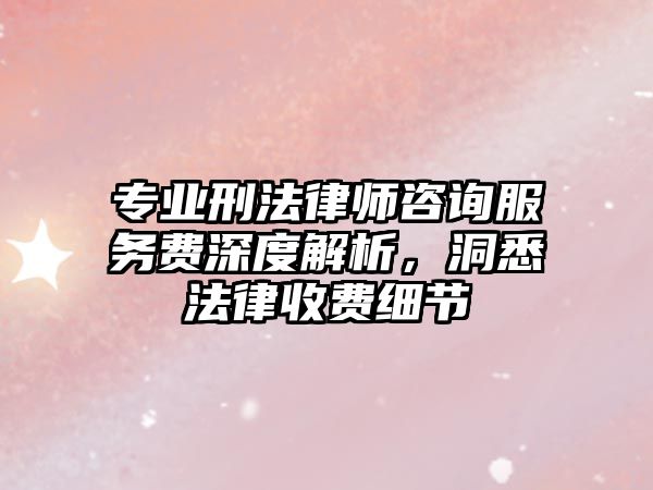 專業刑法律師咨詢服務費深度解析，洞悉法律收費細節