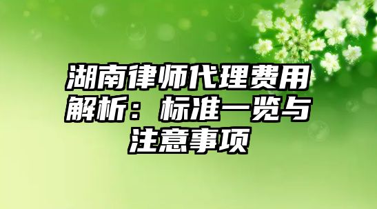 湖南律師代理費用解析：標準一覽與注意事項