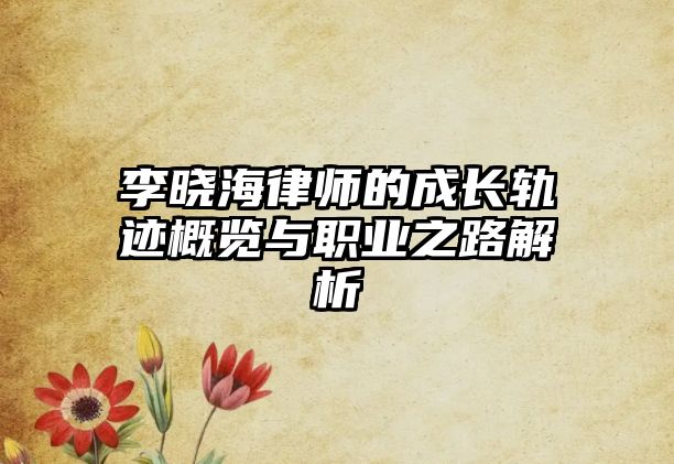 李曉海律師的成長軌跡概覽與職業(yè)之路解析