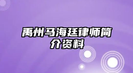 禹州馬海廷律師簡介資料