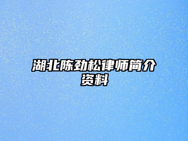 湖北陳勁松律師簡介資料