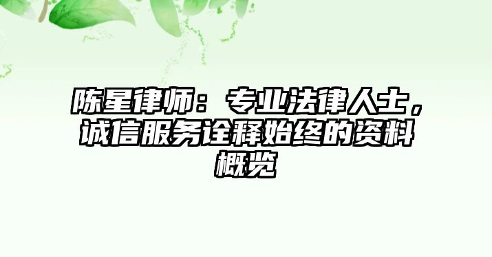 陳星律師：專業法律人士，誠信服務詮釋始終的資料概覽