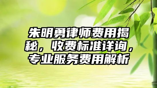 朱明勇律師費用揭秘，收費標準詳詢，專業(yè)服務費用解析