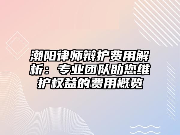 潮陽律師辯護費用解析：專業團隊助您維護權益的費用概覽
