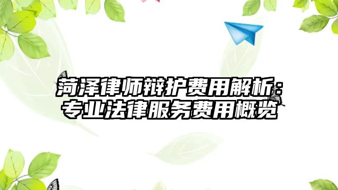 菏澤律師辯護費用解析：專業(yè)法律服務(wù)費用概覽